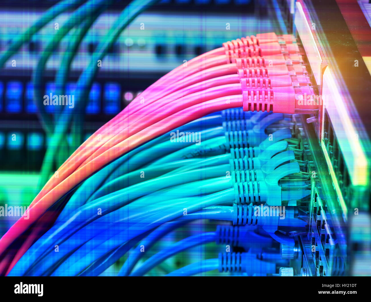 network cables connected in network switches Stock Photo