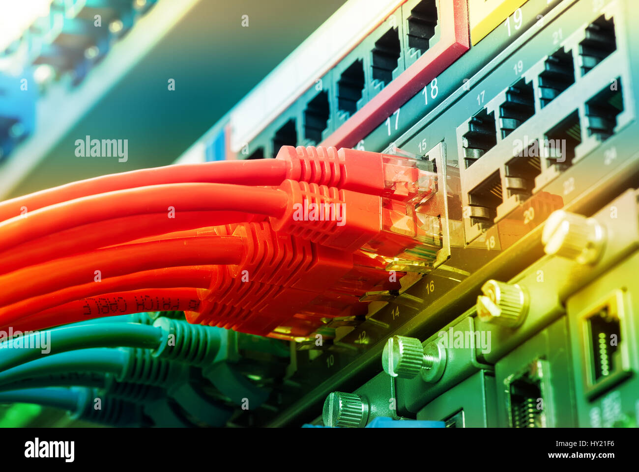 network cables connected in network switches Stock Photo Alamy