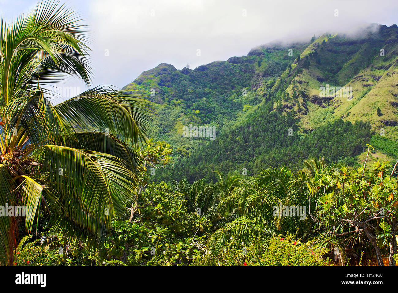 Image of a Beautiful Mountain Landscape on Huahine Island, French Polynesia. Stock Photo