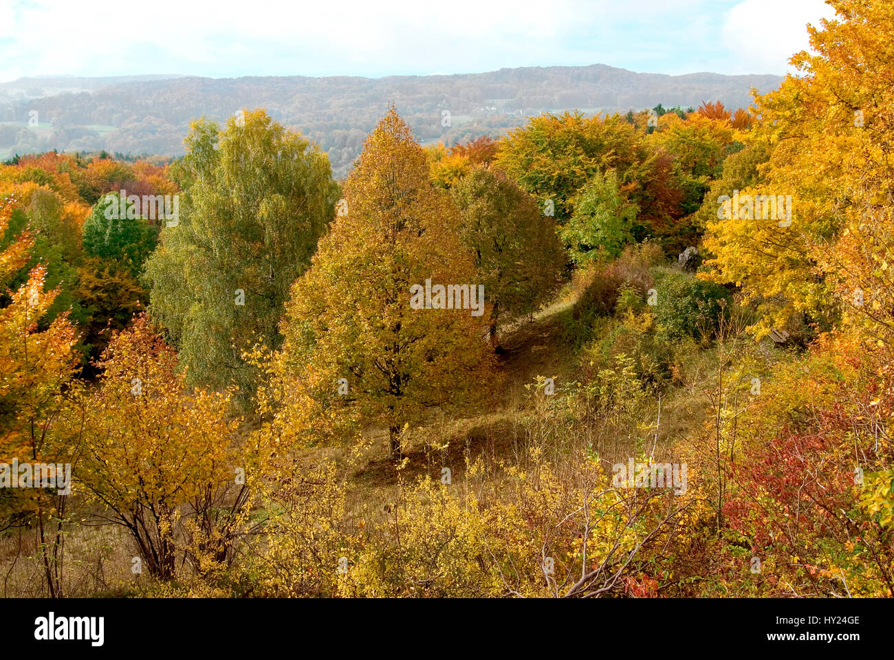 Farbenfrohe Herbstlandschaft im NaturparkFraenkische Alb in der NÃ¤he der Burg Hohenstein in Bayern.   Colorful Autumn Landscape at the Frankonian Mou Stock Photo