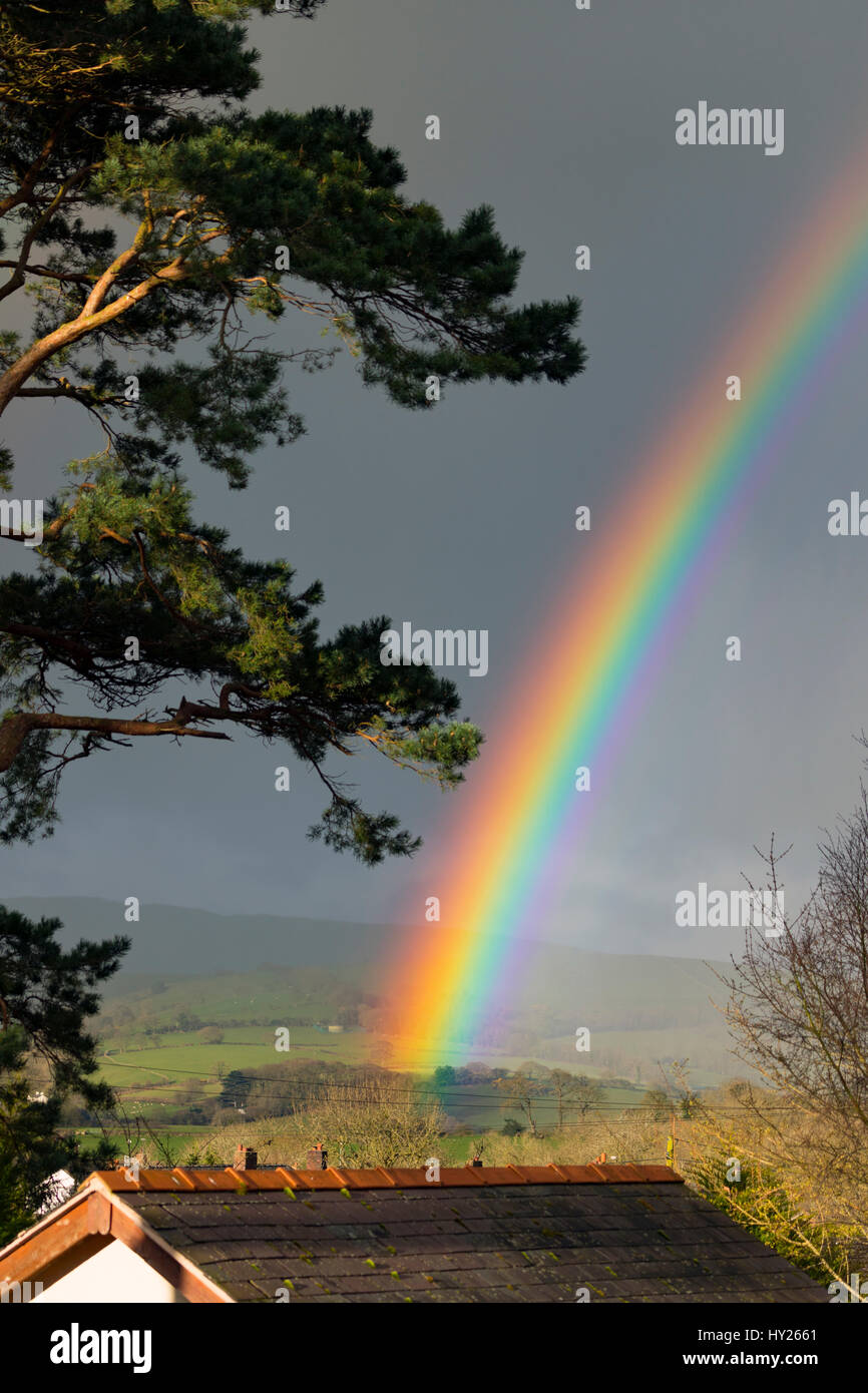 Spectacular rainbow over rural Flintshire in North Wales as rain clearing over the Clwydian Hills creates the meteorological phenomenon Stock Photo