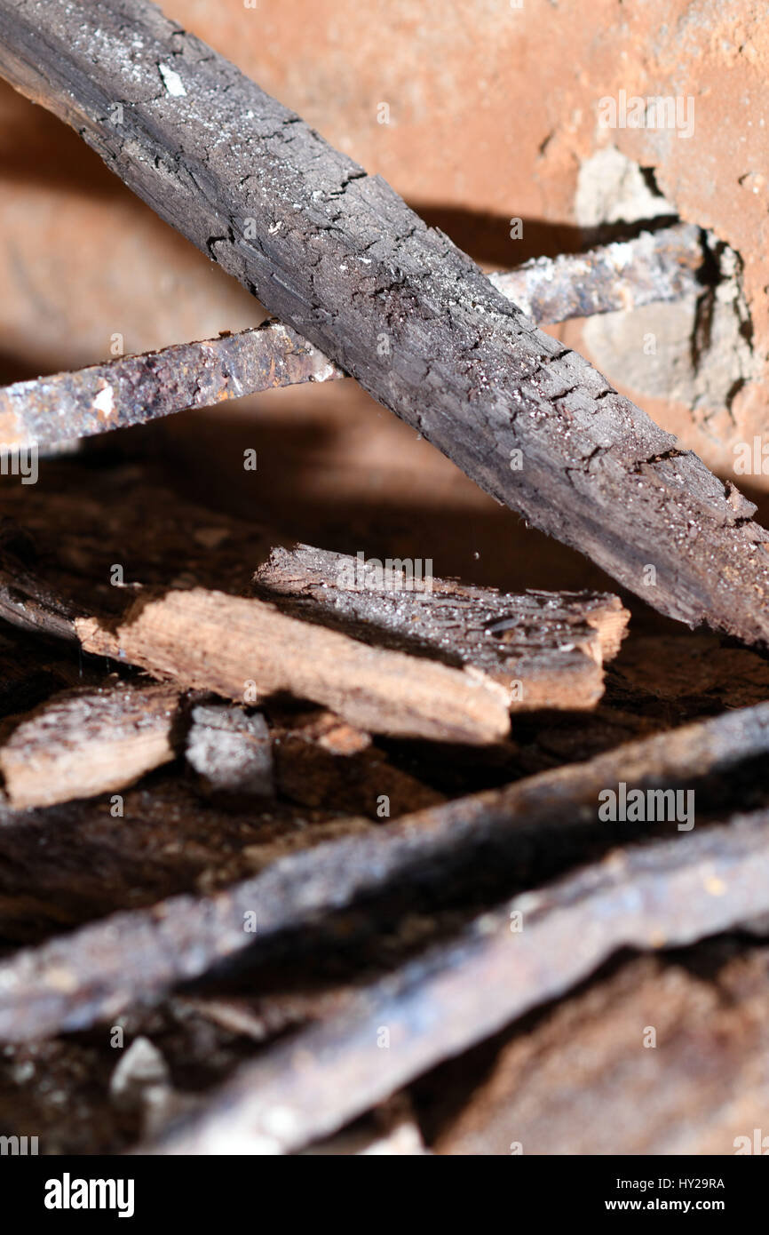 Time capsule burial hi-res stock photography and images - Alamy