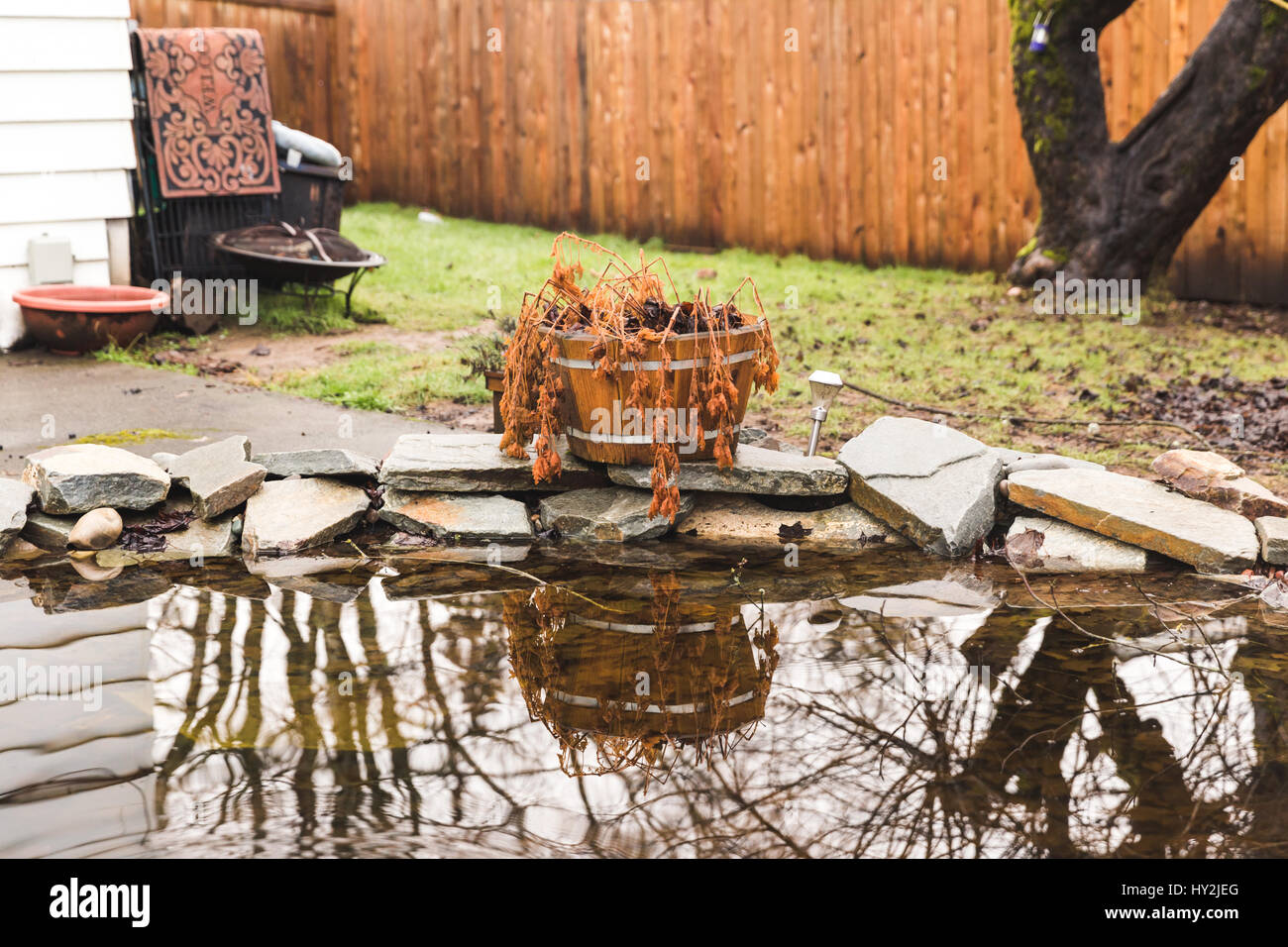 Pond in a home back yard in the Pacific Northwest, USA. Stock Photo