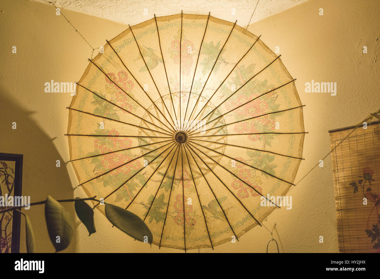 Umbrella 2024 lamp shade