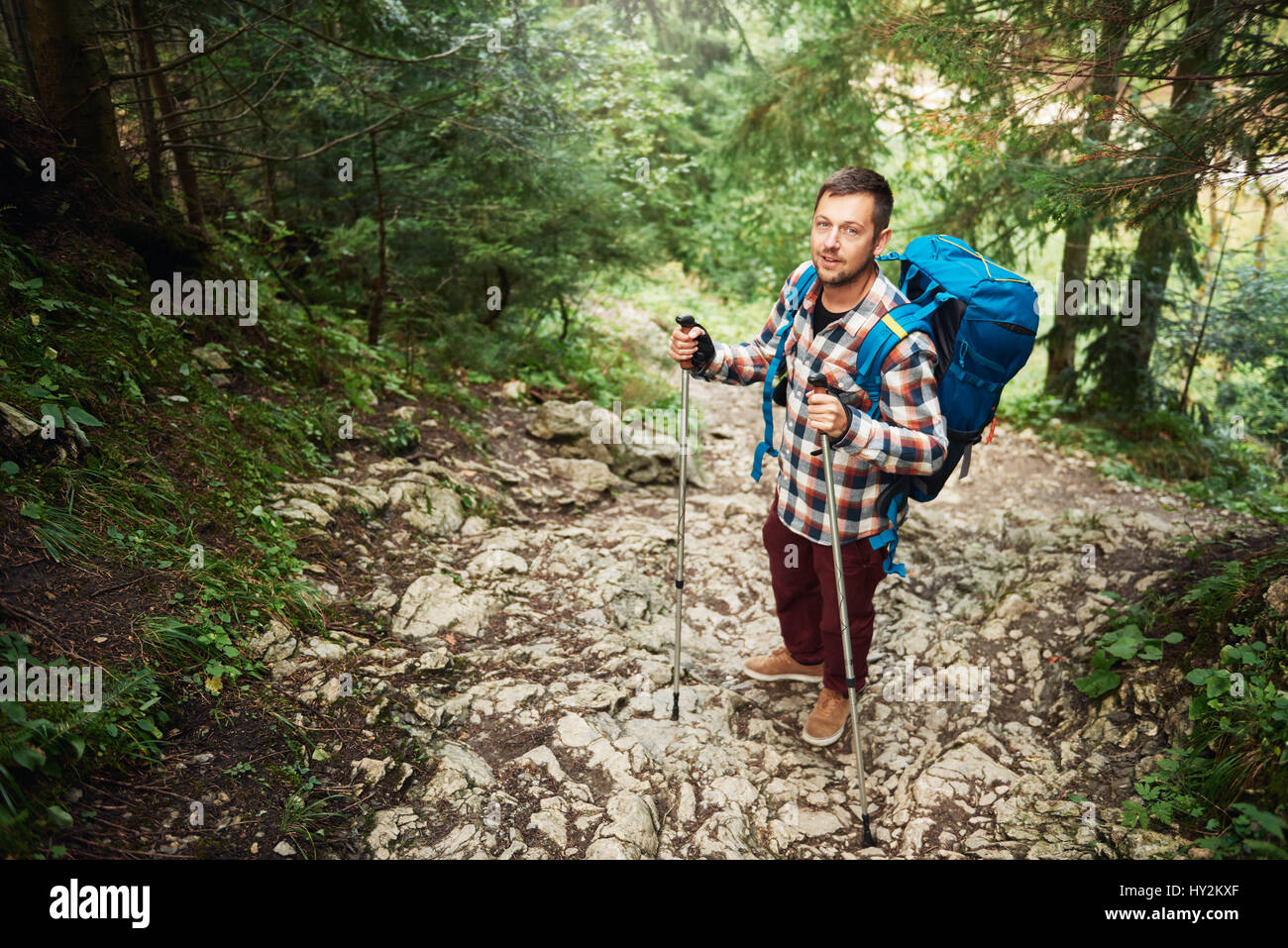 Young man hiking on a rocky trail in the forest Stock Photo - Alamy