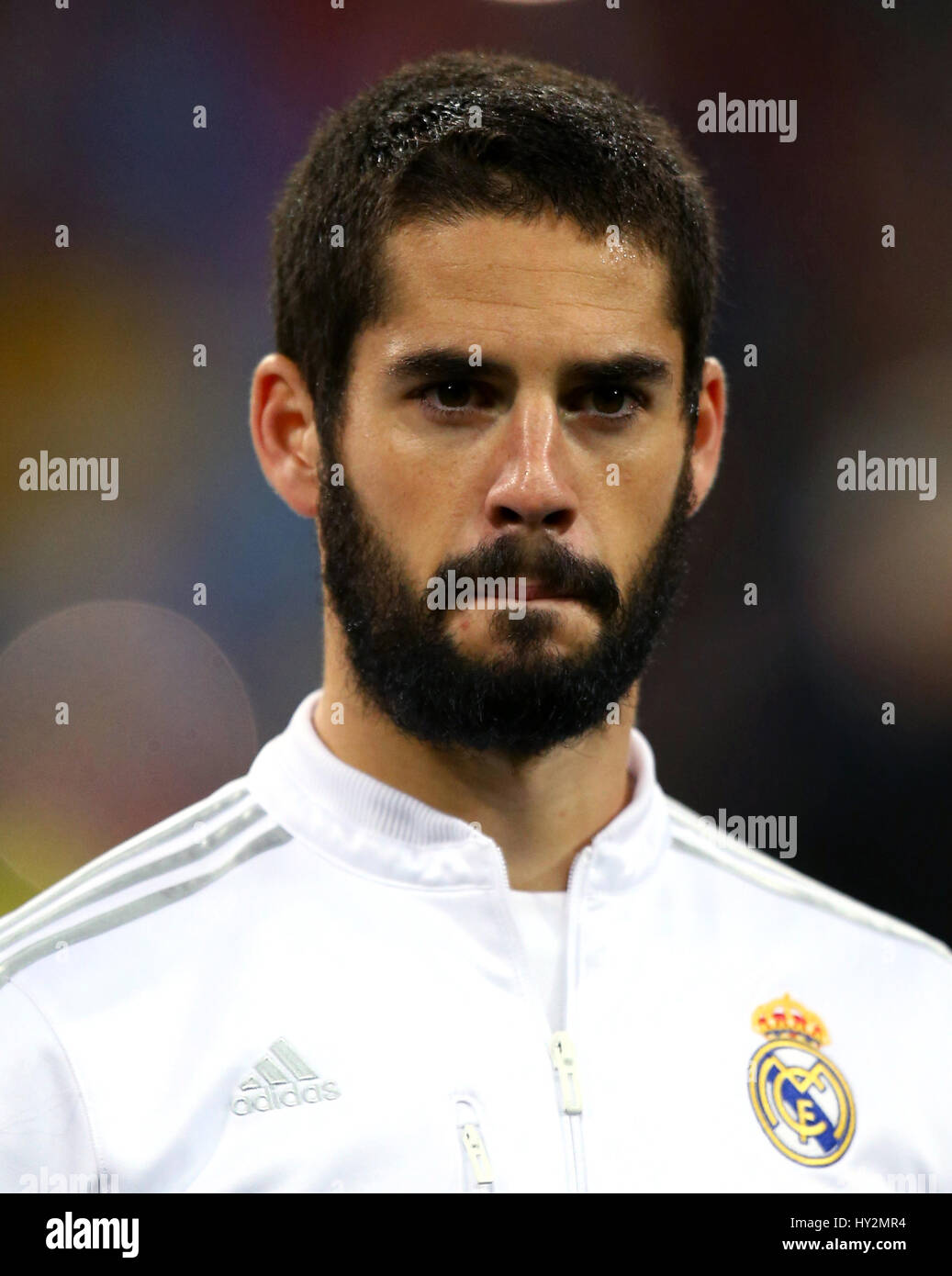 Isco Stock Photos Isco Stock Images Alamy isco stock photos isco stock images alamy