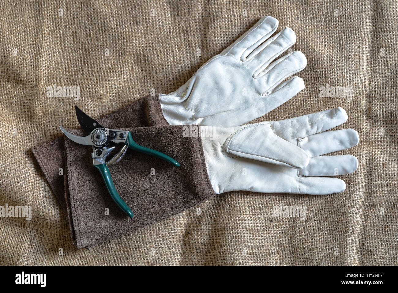 Long sleeved garden gloves hires stock photography and images Alamy