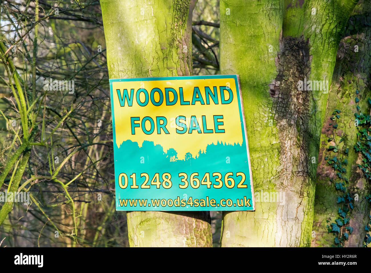 Woodland for sale hires stock photography and images Alamy
