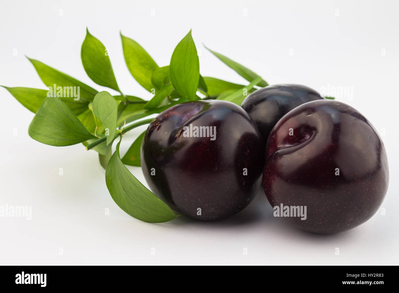 Fresh blue plums on white background Stock Photo