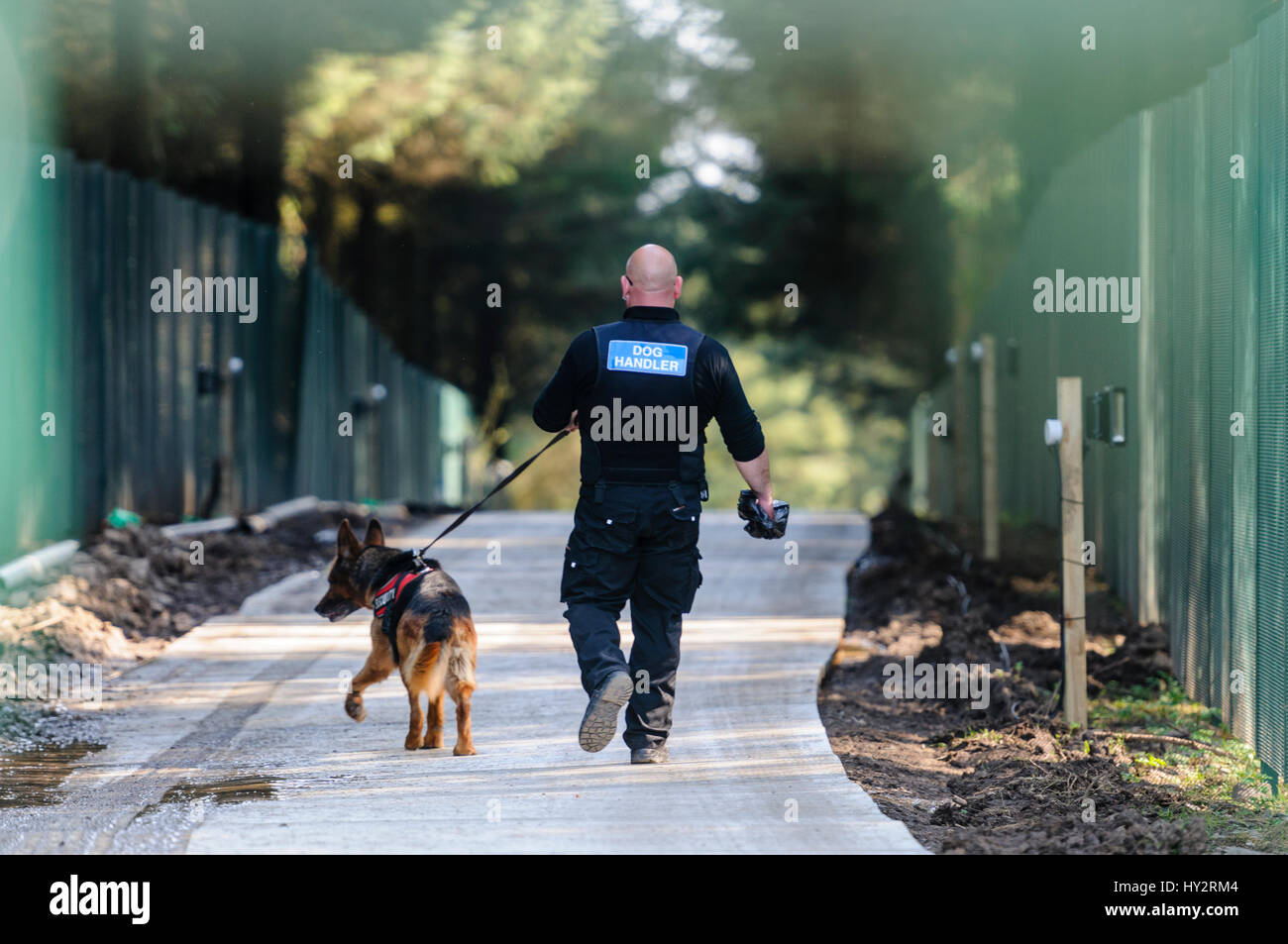 A security guard dog handler patrols an area with a German Shepherd guard dog Stock Photo