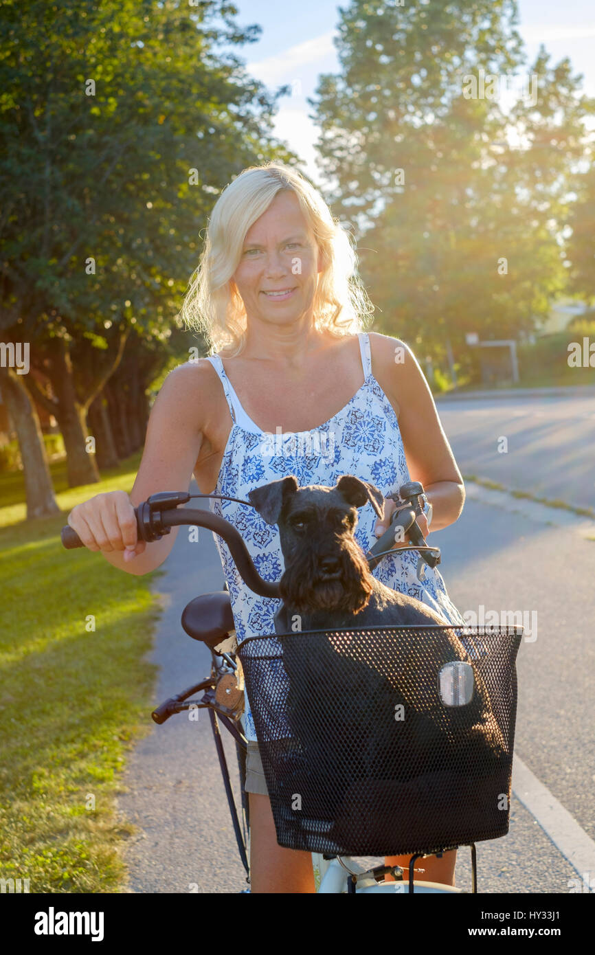 Ladies bike with dog basket hot sale