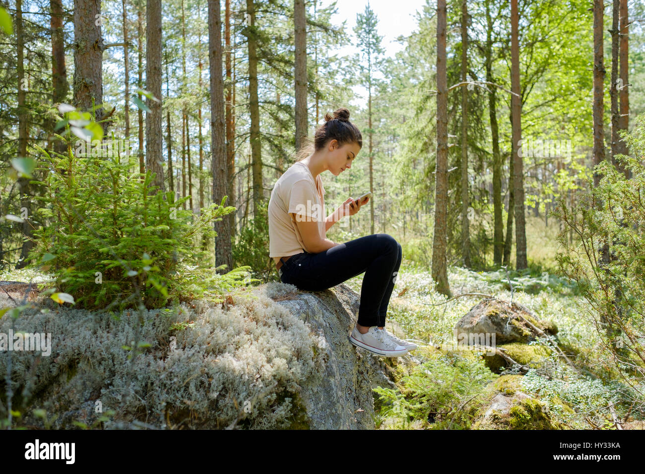 Rock in forest hi-res stock photography and images - Alamy
