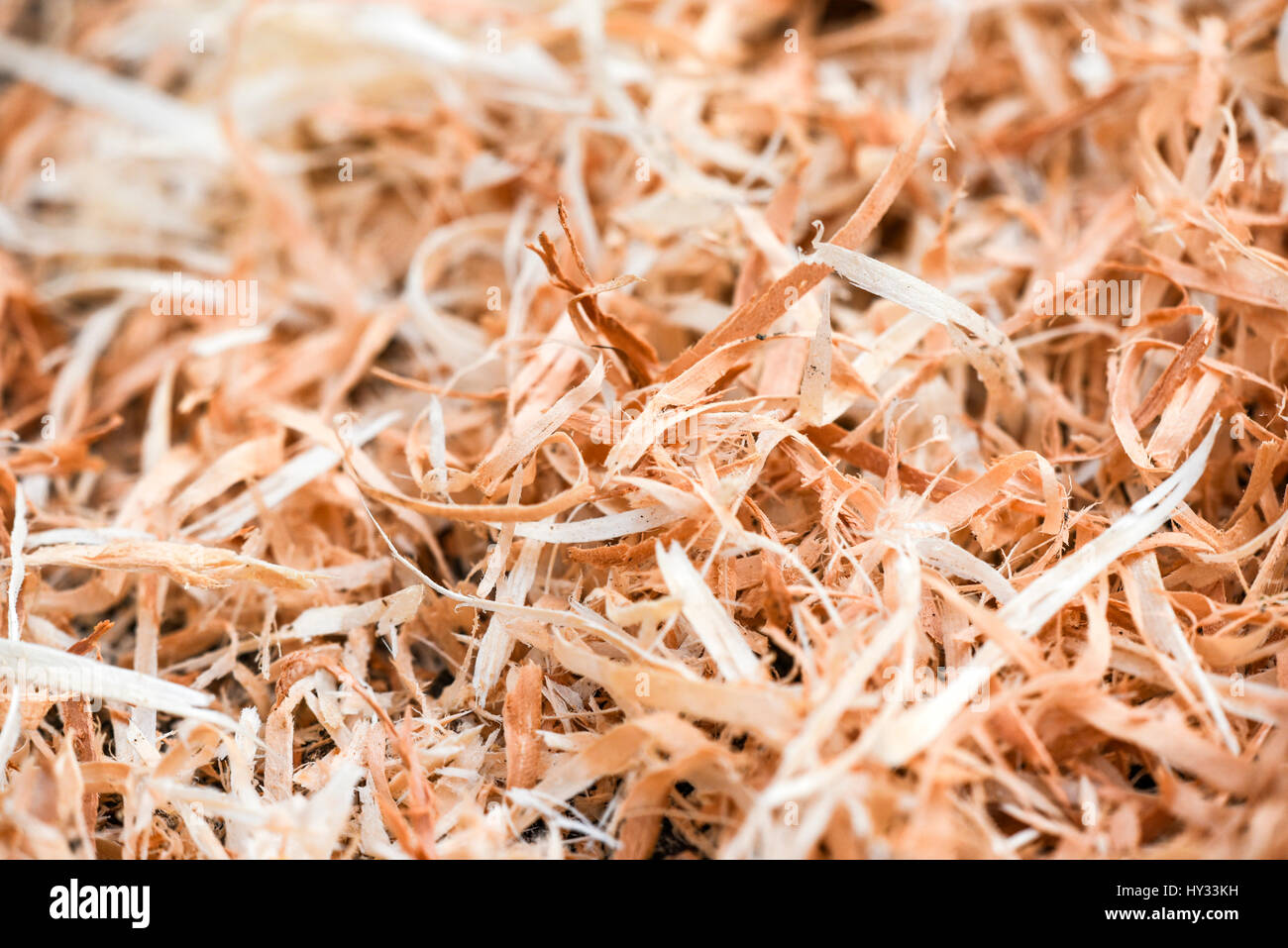 A lot of wood shavings in forest Stock Photo Alamy