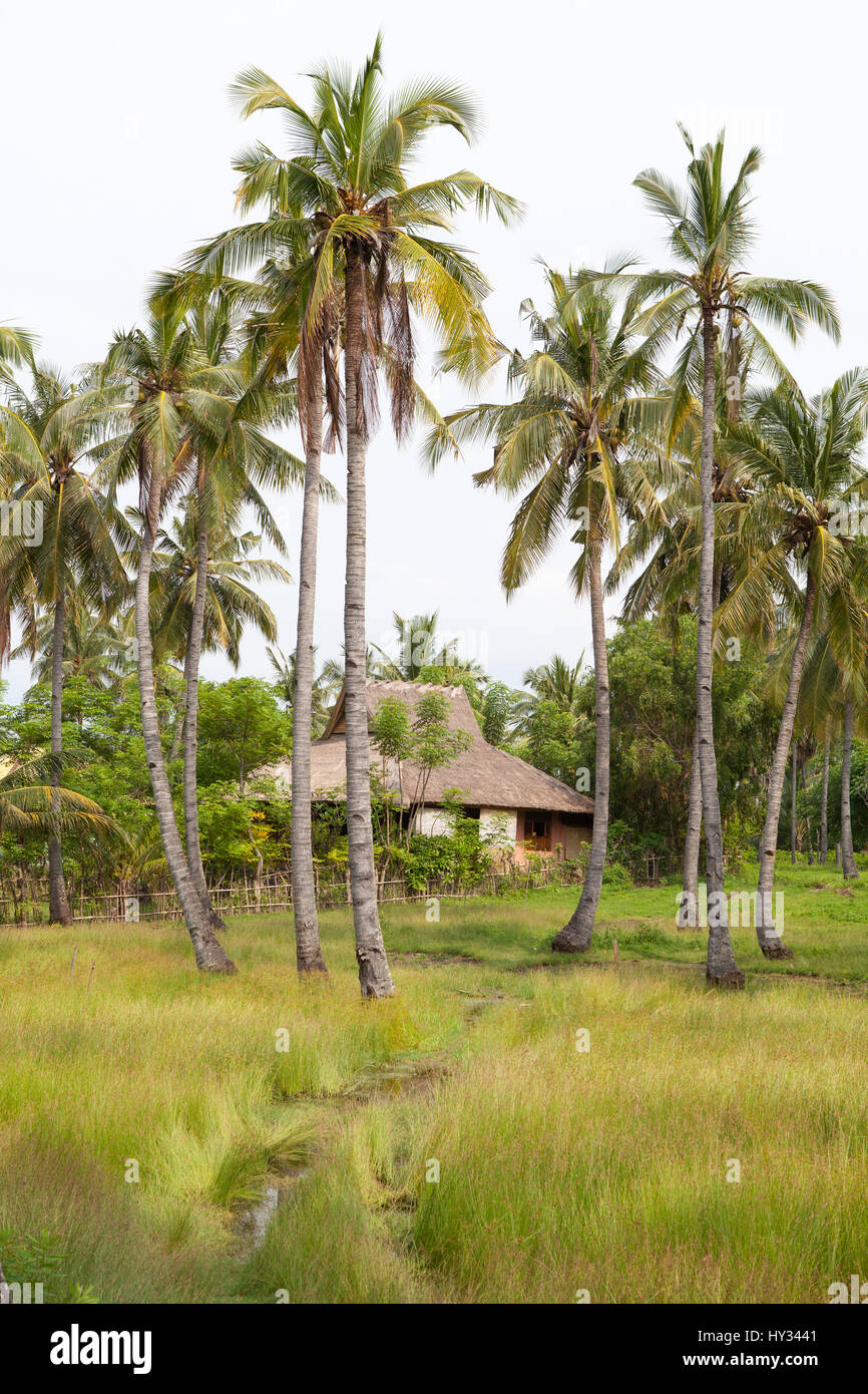 Coconut house hires stock photography and images Alamy