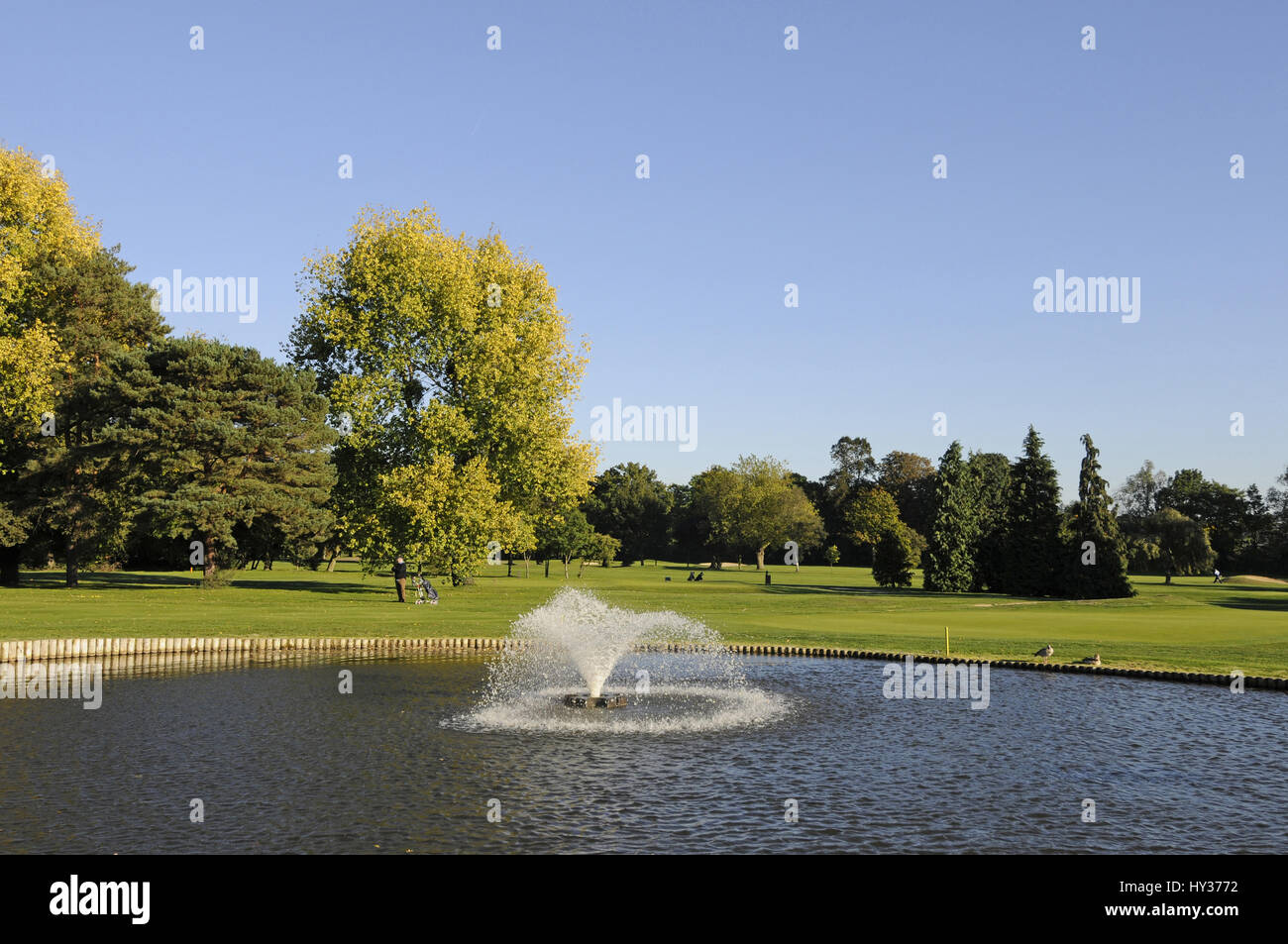 New malden hires stock photography and images Alamy