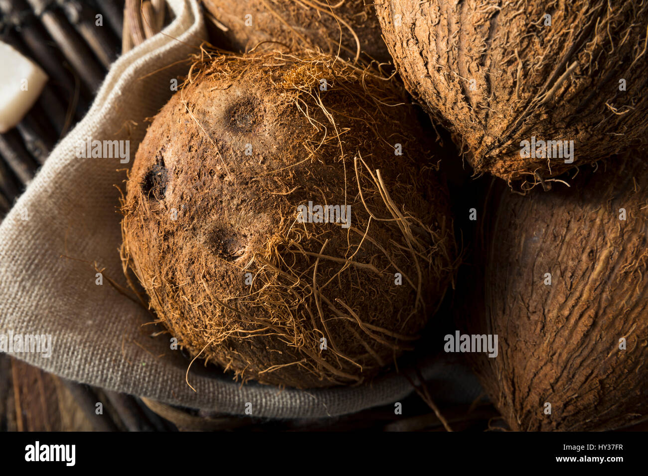Raw Organic Tropical Brown Coconuts Ready to Open Stock Photo Alamy