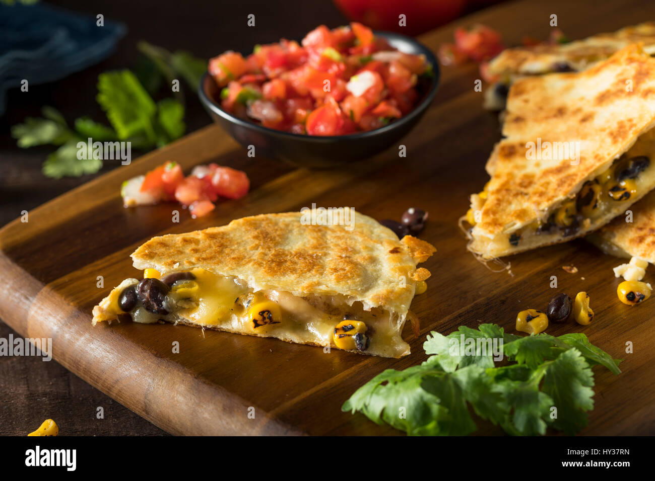 Homemade Chicken and Cheese Quesadilla with Salsa and Cilantro Stock