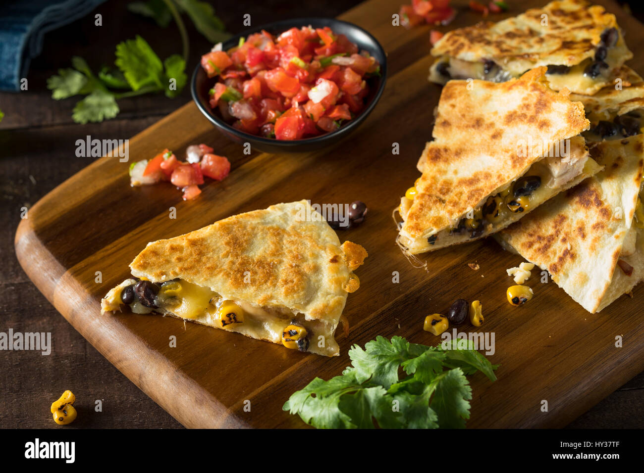 Homemade Chicken and Cheese Quesadilla with Salsa and Cilantro Stock Photo