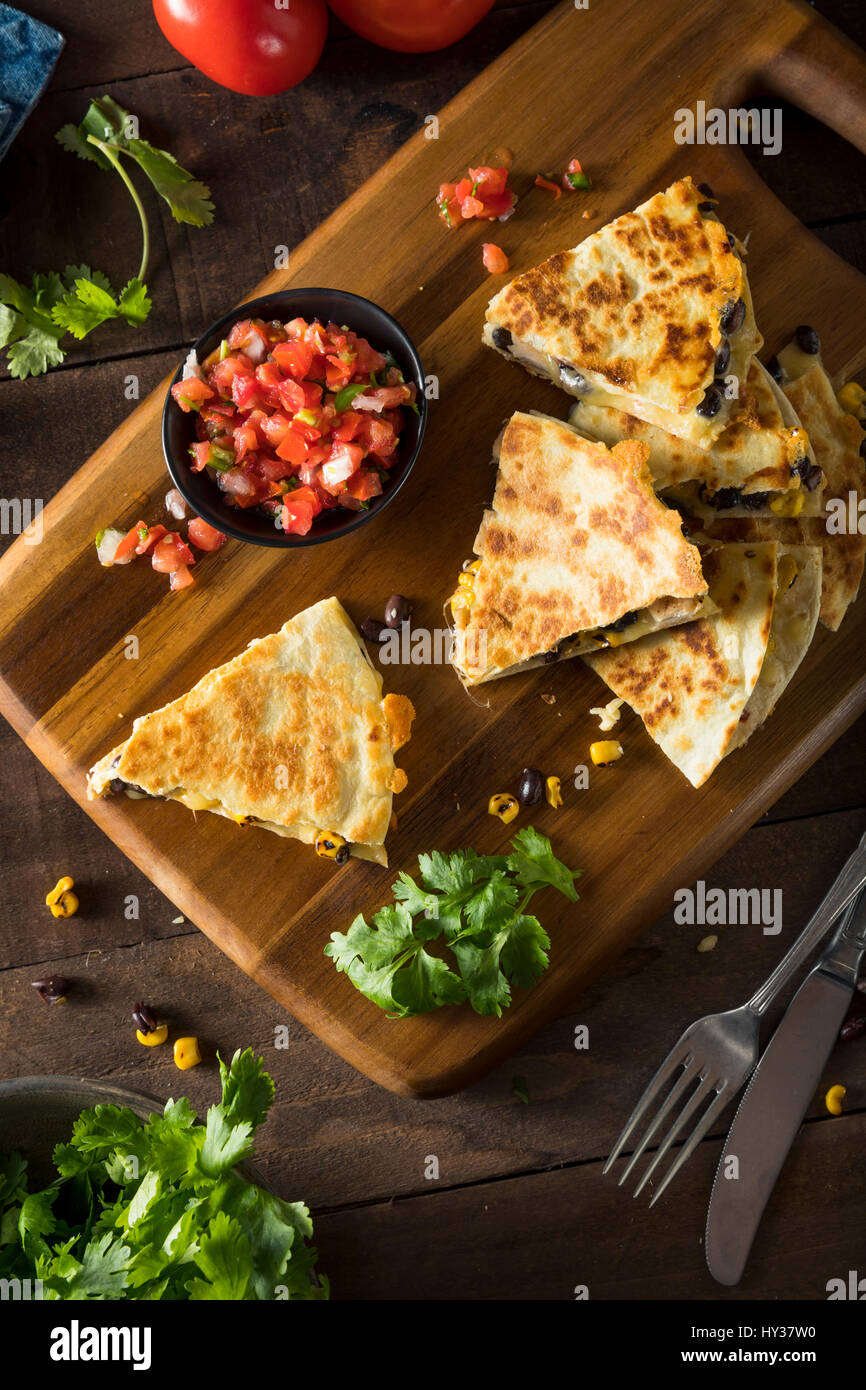 Homemade Chicken and Cheese Quesadilla with Salsa and Cilantro Stock Photo