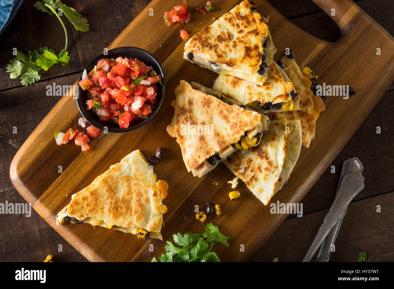 Homemade Chicken and Cheese Quesadilla with Salsa and Cilantro Stock Photo