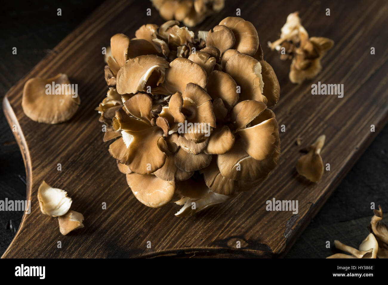 Maitake Mushroom High Resolution Stock Photography and Images Alamy