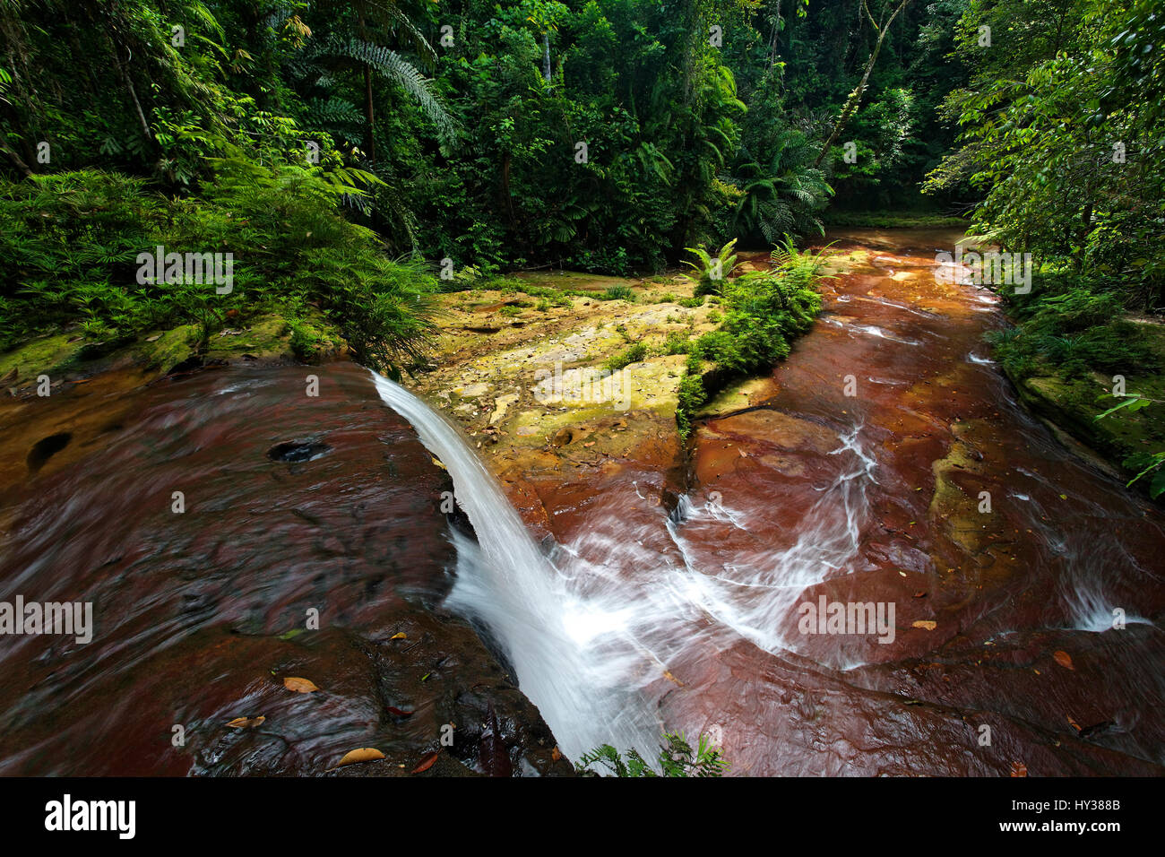 waterfall in the jungle Stock Photo
