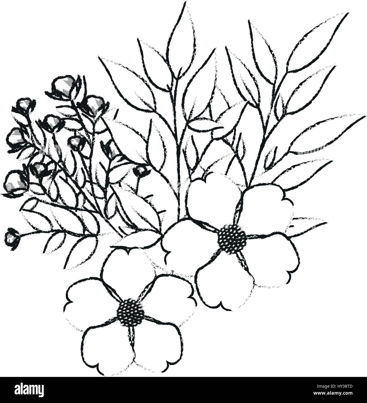 delicate flower icon image Stock Vector Image & Art Alamy