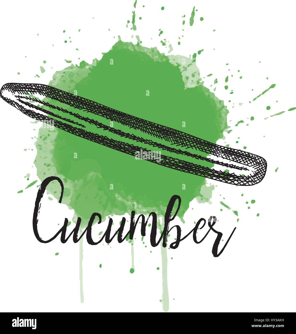 Vector illustration of a cucumber. Hand drawn Stock Vector Image & Art ...