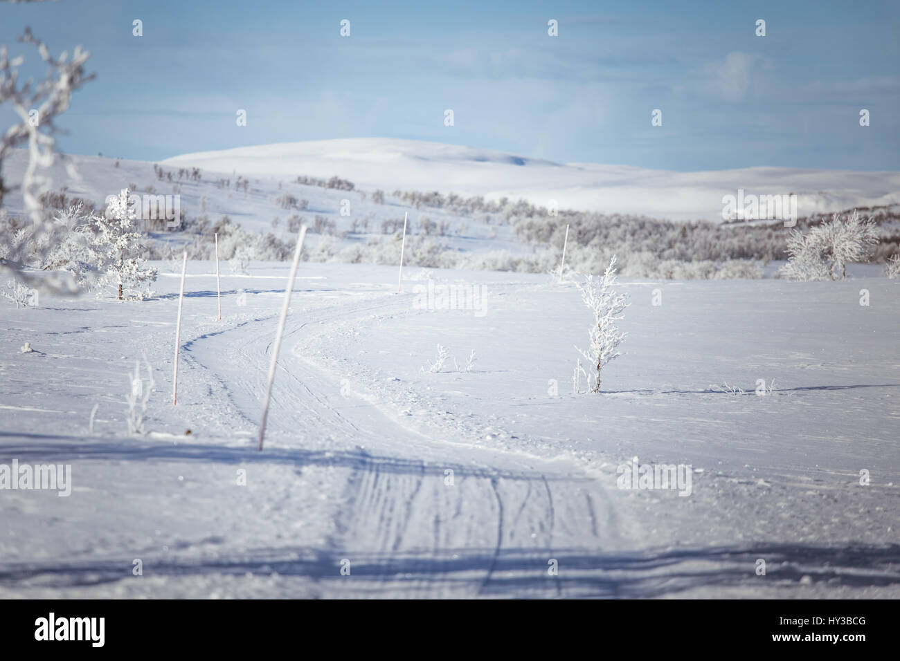 A beautiful white landscape of a snowy Norwegian winter day with tracks for snowmobile or dog sled Stock Photo