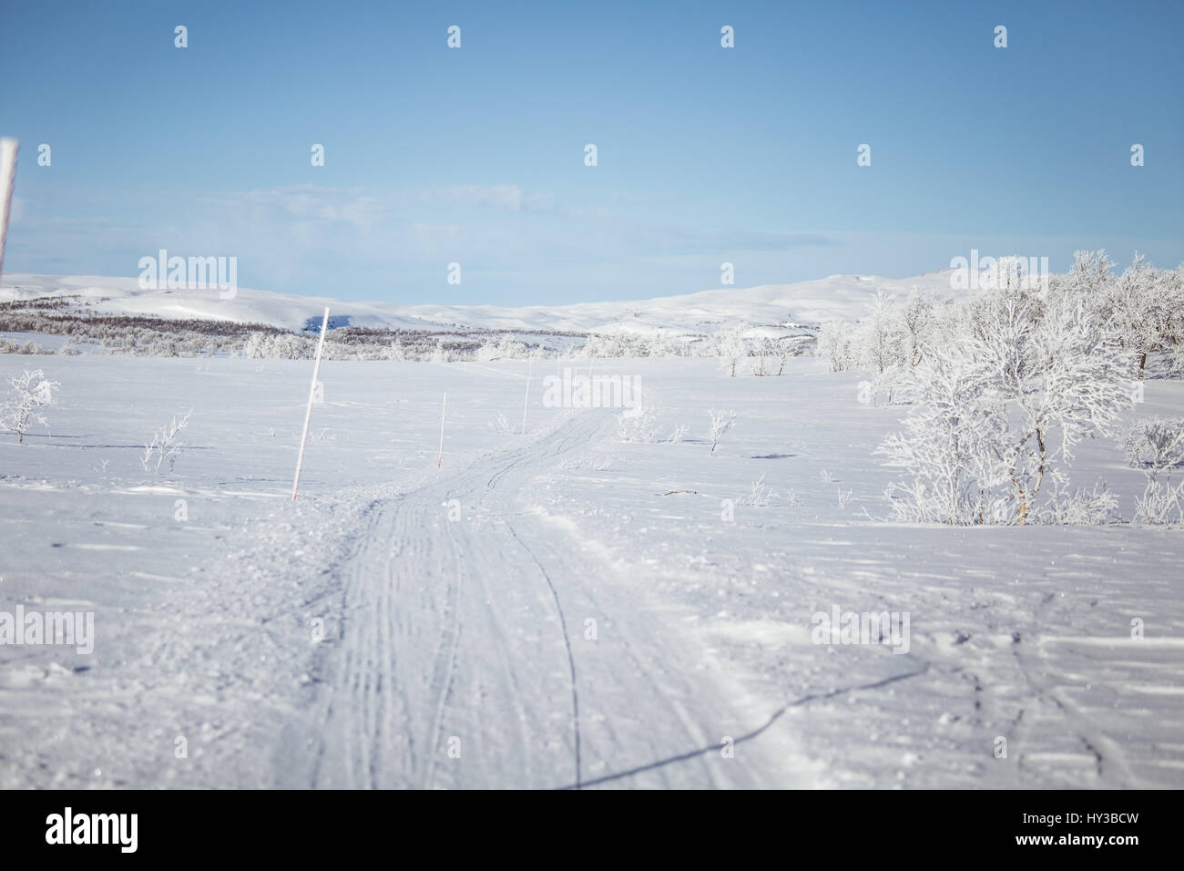 A beautiful white landscape of a snowy Norwegian winter day with tracks for snowmobile or dog sled Stock Photo