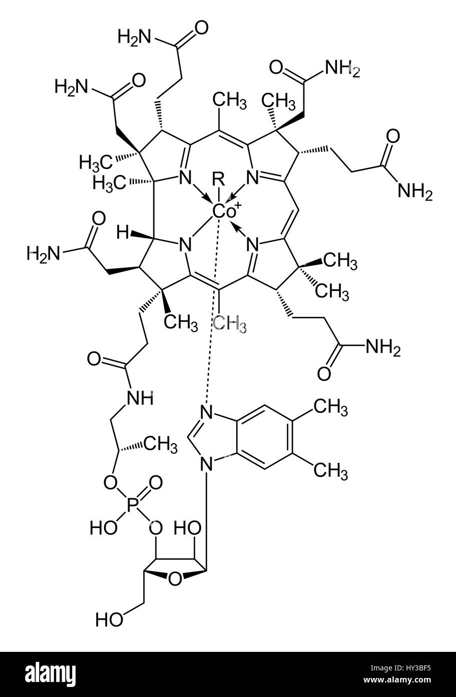 Vitamin B12 (cobalamin) molecule, skeletal formula (chemical structure). Skeletal formula of the cyanocobalamin (C63.H88.Co.N14.O14.P) form of vitamin B12. This vitamin plays a key role in the normal functioning of the brain and nervous system. Stock Photo