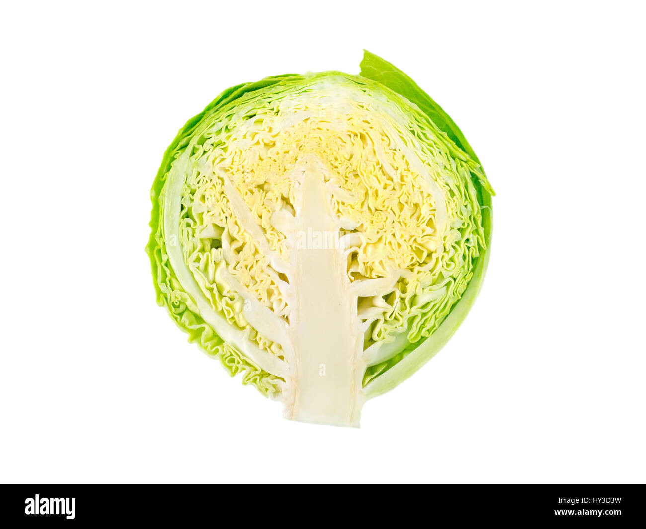 Green cabbage head cut isolated on white Stock Photo