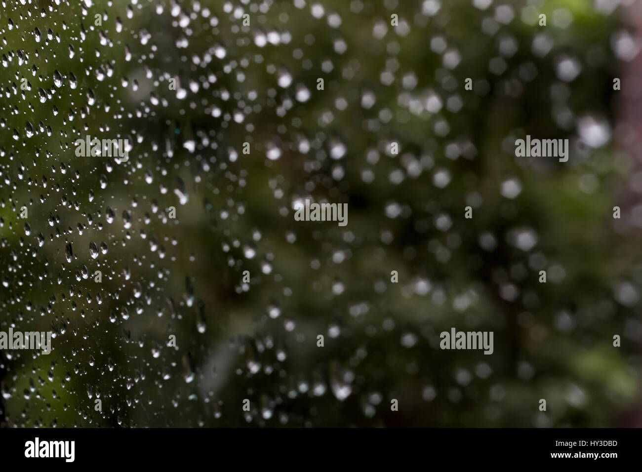 Rain drops on window glass transforming to bokeh background Stock Photo ...
