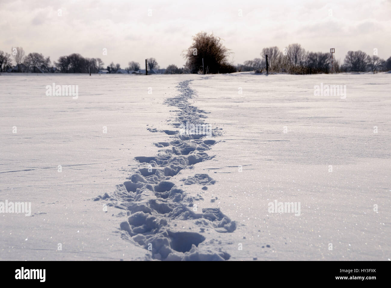 Fussspuren hi-res stock photography and images - Alamy