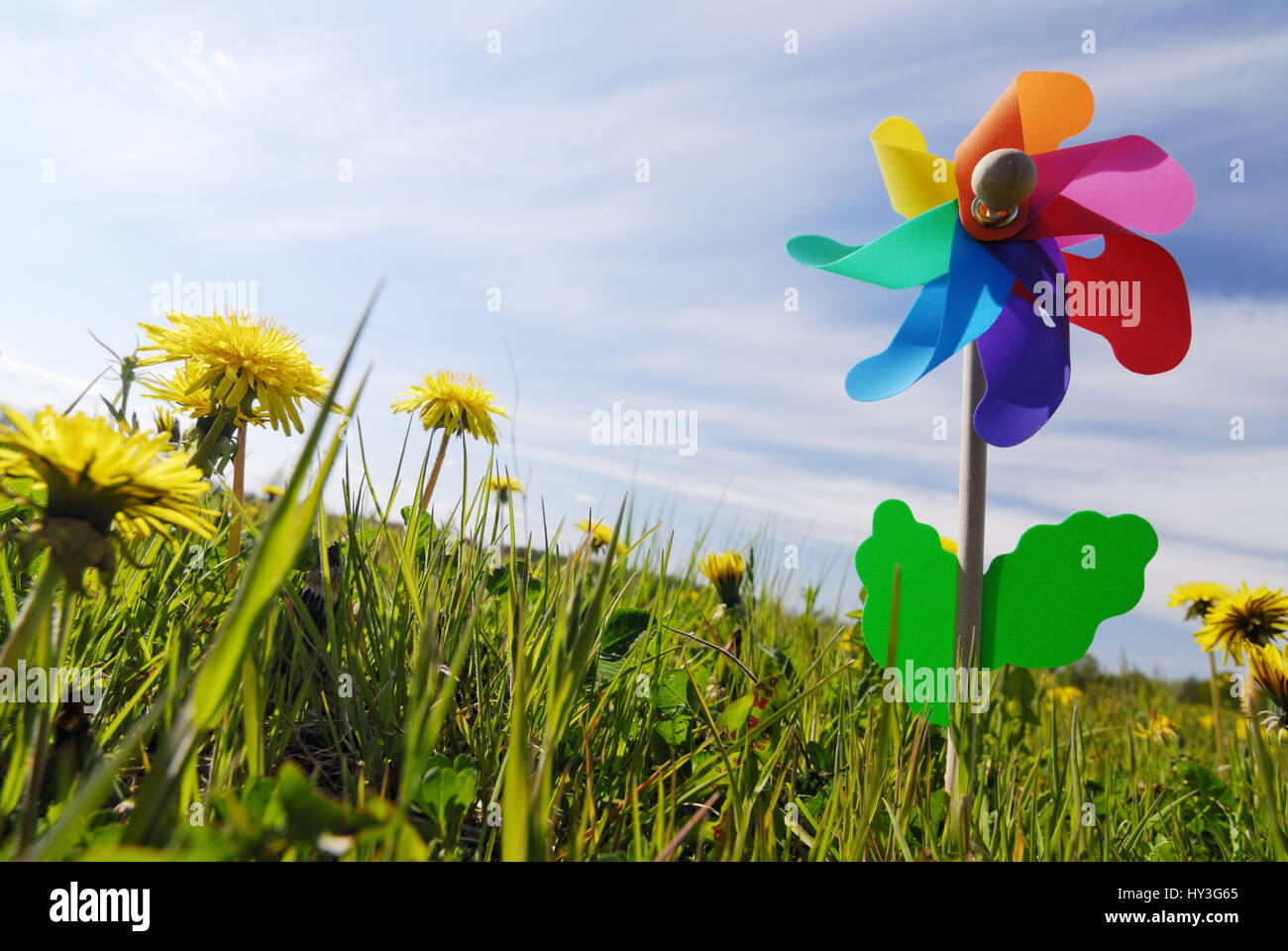 Coloured pinwheel on a meadow, wind energy, Buntes Windrädchen auf einer Wiese, Windenergie Stock Photo