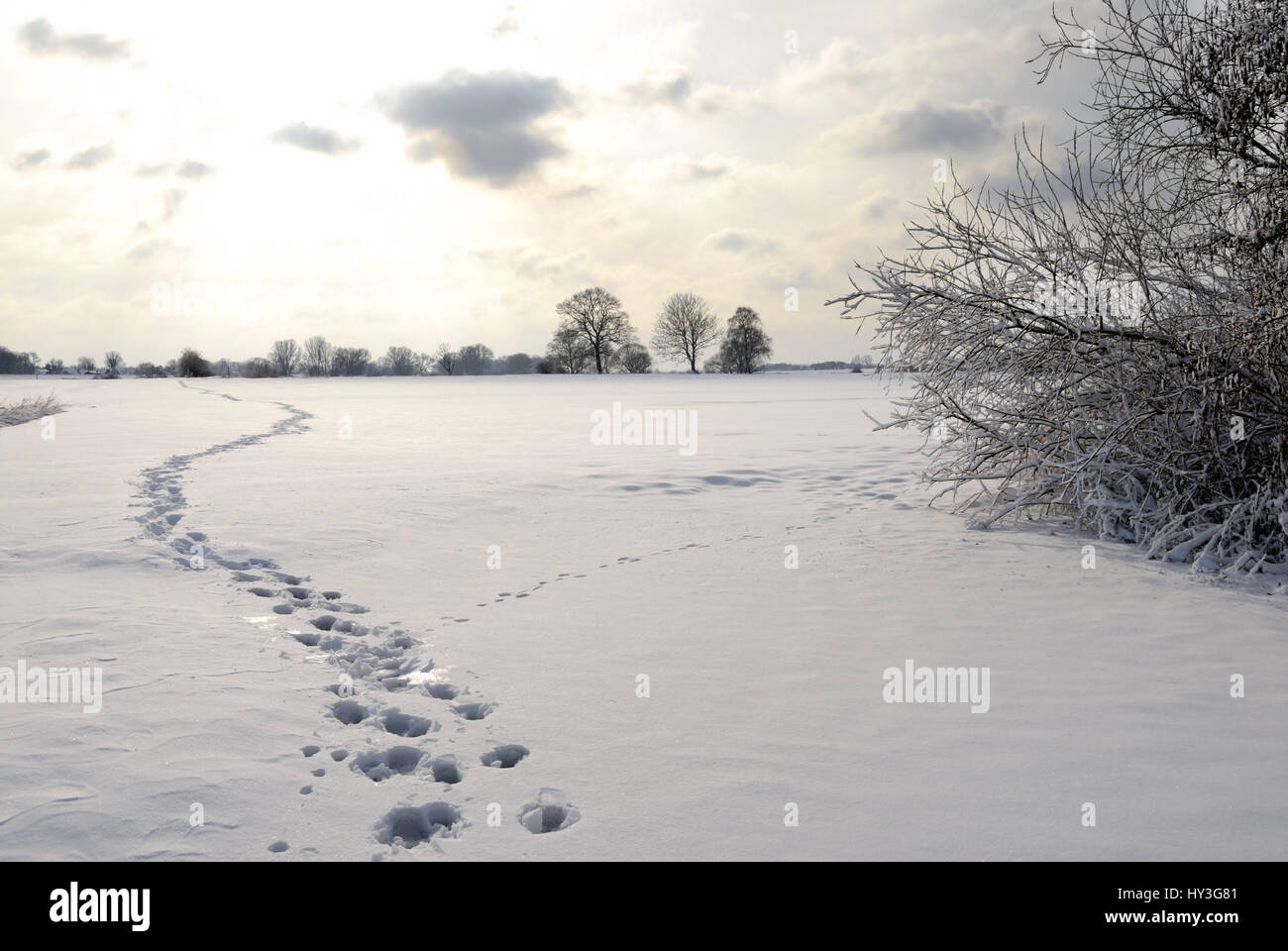 Fussspuren hi-res stock photography and images - Alamy