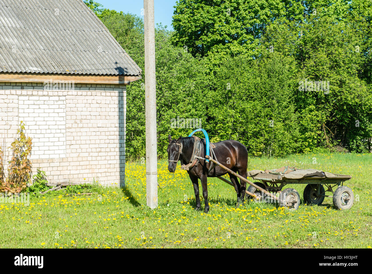 countryside buildings in summer in small village Stock Photo - Alamy