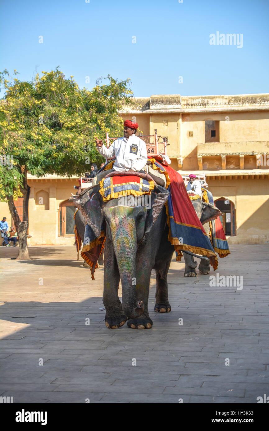Elephant ride on the cobbled pathway at Amer (Amber) Fort Jaipur India Stock Photo