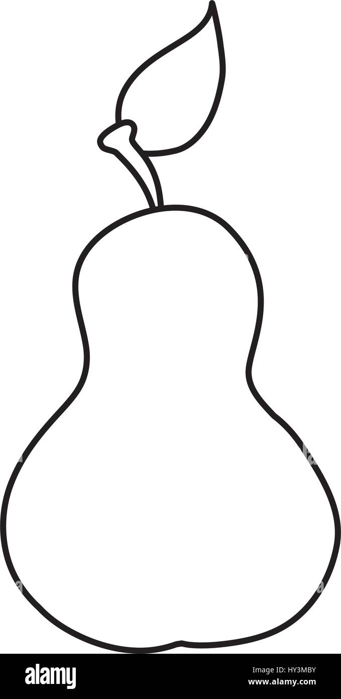 Delicious pear fruit icon vector illustration graphic design Stock ...