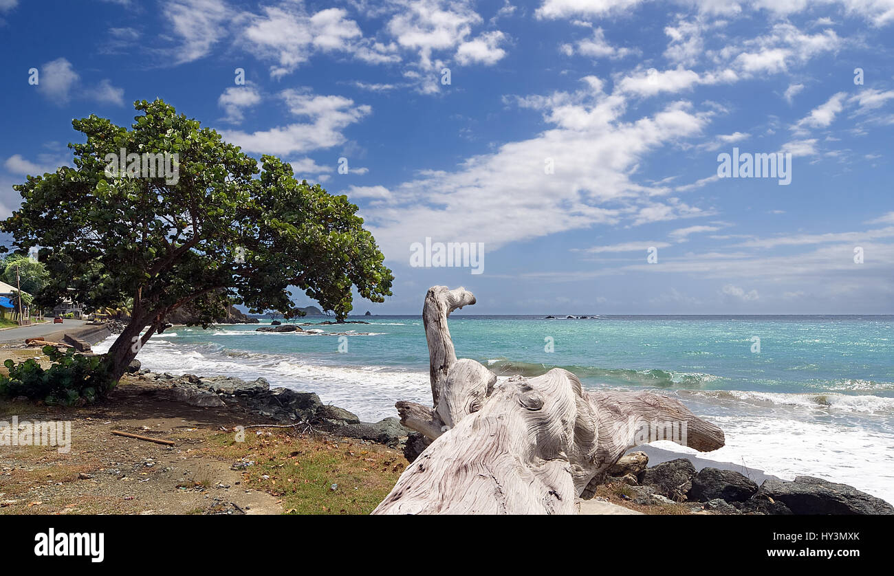 Republic of Trinidad and Tobago Tobago island Roxborough beach