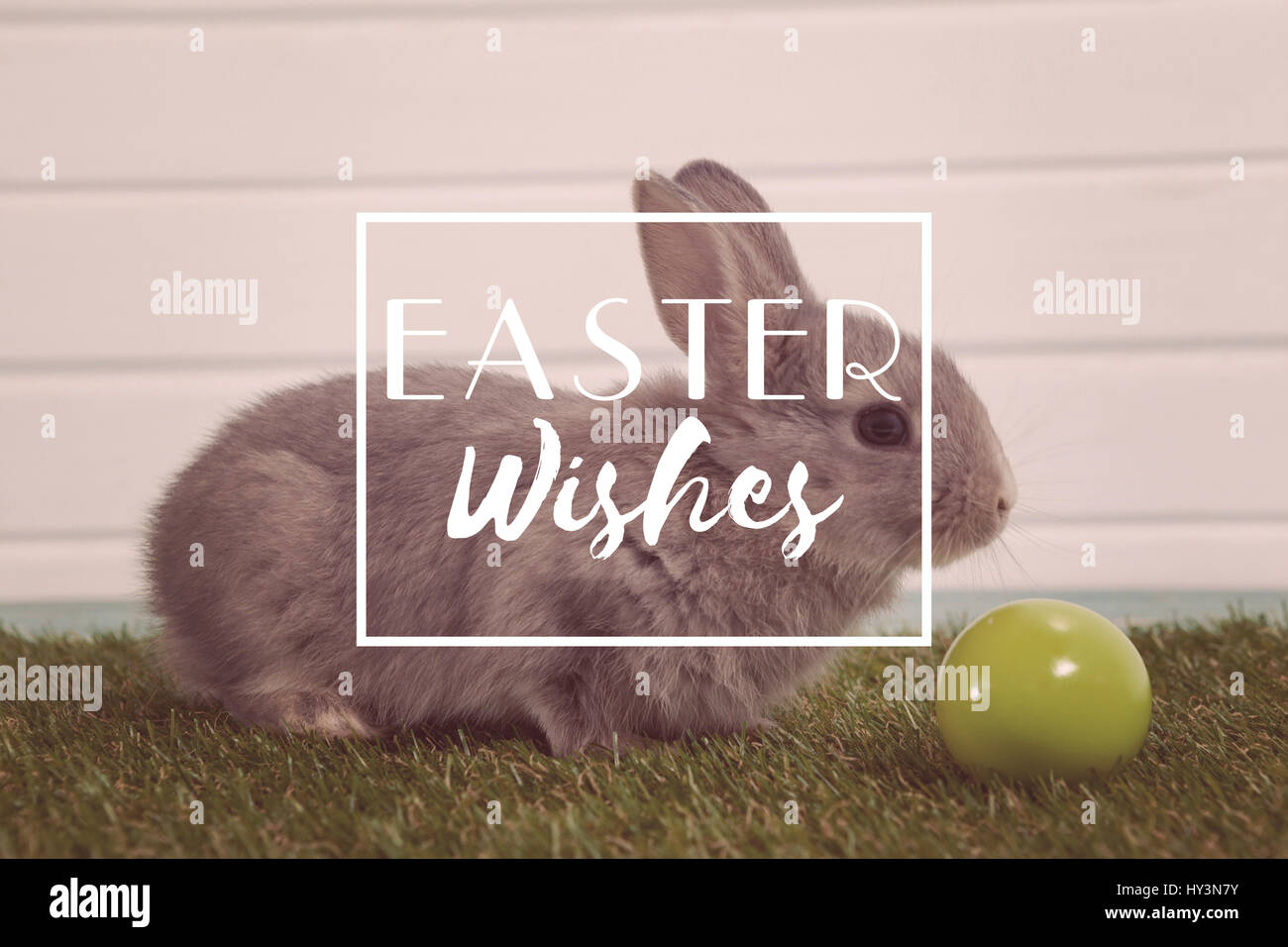 Easter greeting against green easter egg and easter bunny sitting on grass Stock Photo