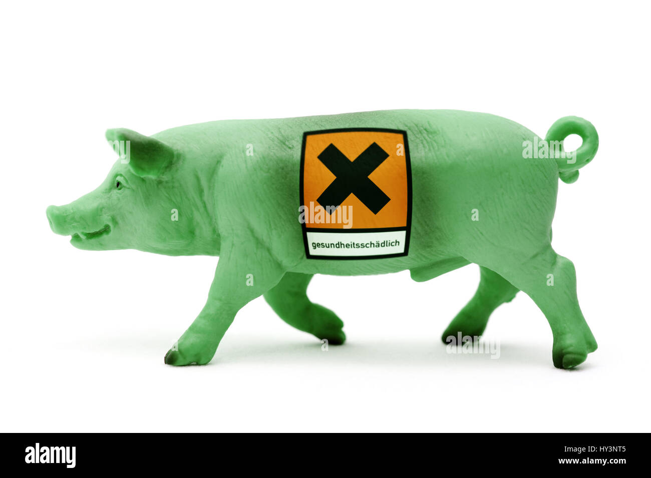 Green miniature pig and danger sign, symbolic photo for loaded pork, Grünes Miniaturschwein und Gefahrenzeichen, Symbolfoto für belastetes Schweinefle Stock Photo