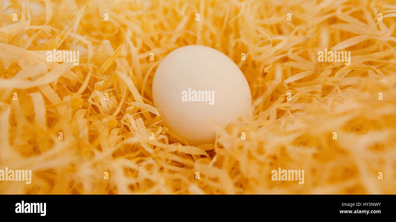 White easter egg in nest against white background Stock Photo - Alamy