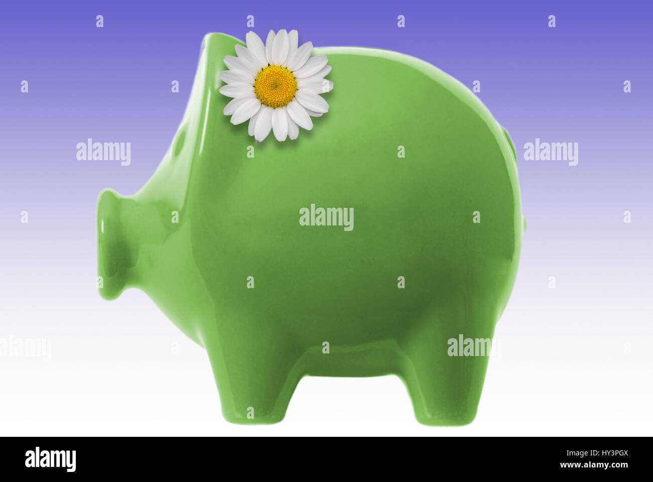 Green piggy bank with daisy, Grünes Sparschwein mit Gänseblümchen Stock Photo