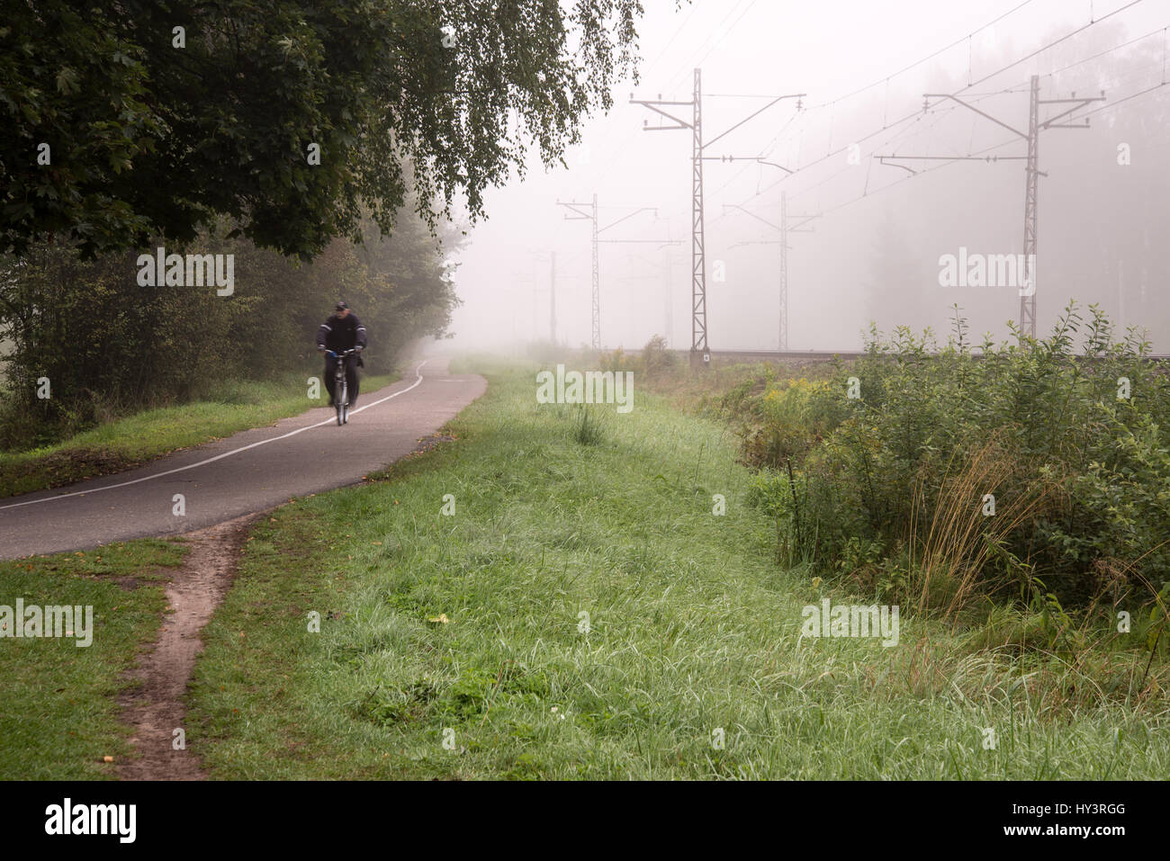 misty country road in the early morning Stock Photo - Alamy