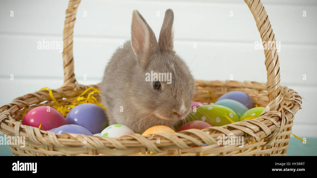 Colorful Easter eggs and Easter bunny sitting in wicker basket Stock ...