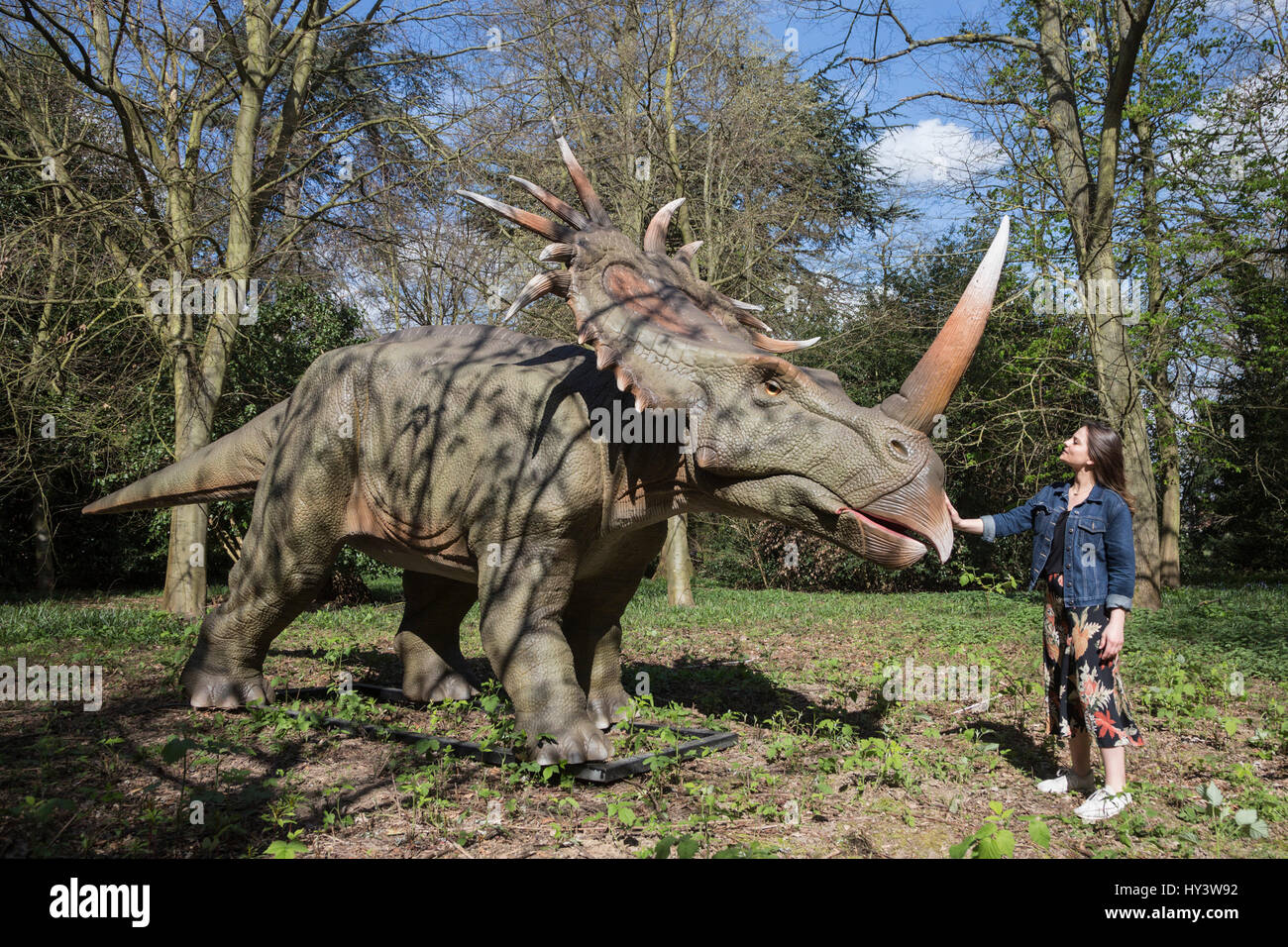 Dinorsaurs hi-res stock photography and images - Alamy