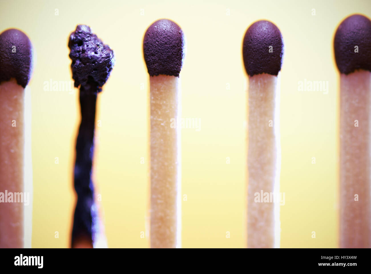 A burnt match between new matches, Burnout, Ein verbranntes Streichholz