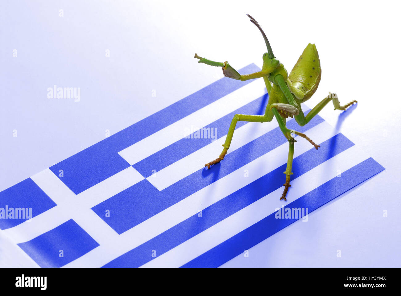 Grasshopper as a symbol of Hedge fund on a flag of Greece, Heuschrecke als Symbol von Hedge-Fonds auf einer Fahne von Griechenland Stock Photo