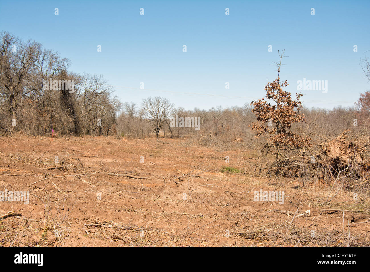 Damage in nature after bulldozing trees out of the area Stock Photo